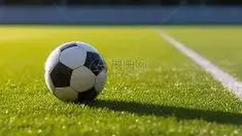 PT真人视讯官方平台 产品 103041 fig