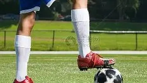 威海今日六福珠宝金价查询